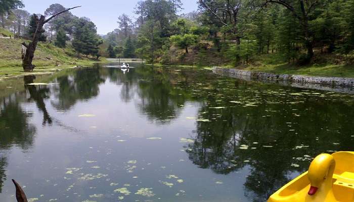 Rani Jheel, a scenic place near Dehradun To Neem Karoli Baba road