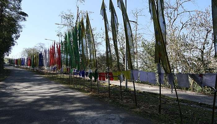 Prayer flags along the route to Samdruptse. 