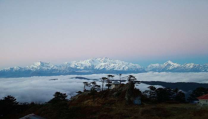 Snow-capped peaks from Sandakphu trek.