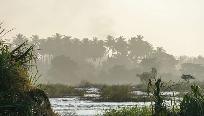  The peaceful waters at the Sangam, a tranquil escape near Srirangapatna Fort 