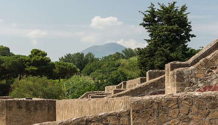 Mount Vesuvius and the rich flora and landscape that will leave you breathless.