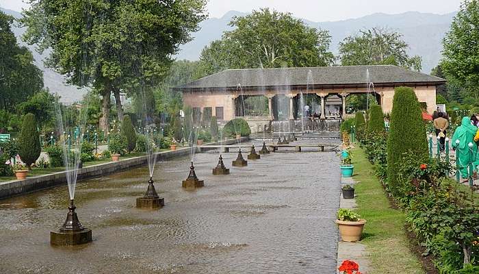 Shalimar Bagh, one of the best in Srinagar. 