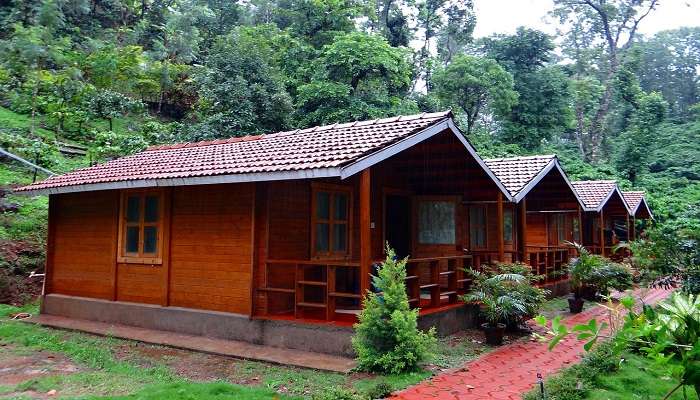 Homestays near Kodachadri 