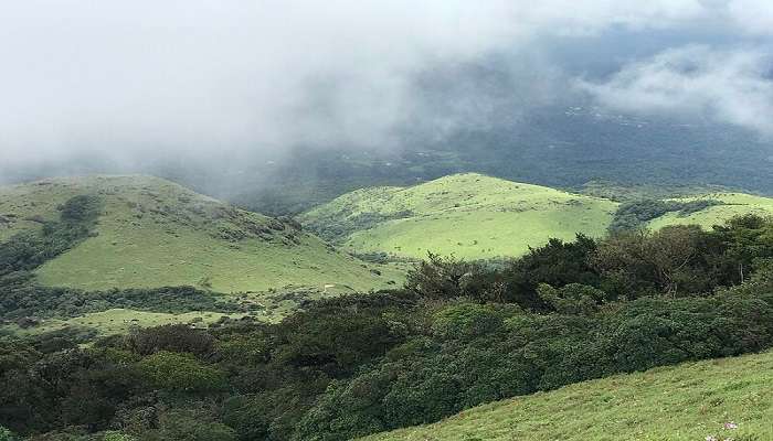 enjoy nature at its best at the Tadiandamol peak