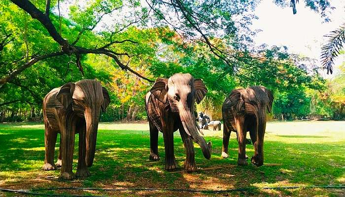 Vandalur Zoo which is near Vallivakkam