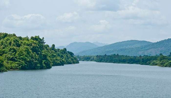 Landscape view of the Thattekkad waters.