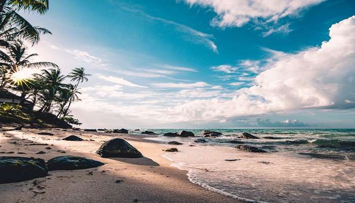 Pilot Bay Beach during different seasons