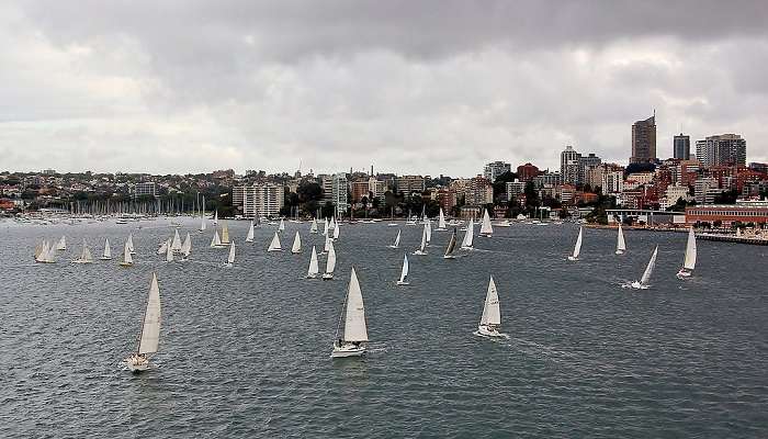 View of Rushcutters Bay (left), Macleay Point and Elizabeth Bay (centre), Sydney Harbour, New South Wales