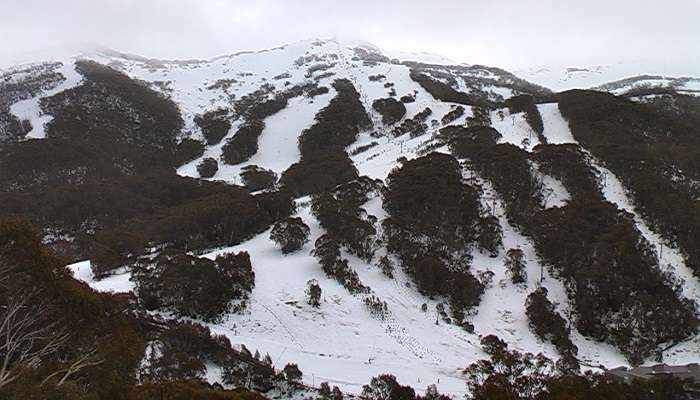 Explore Thredbo Village information centre.