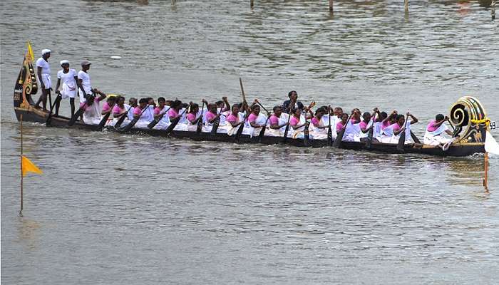 see the beautiful Thrikkakara Boat Races, which are a captivating and time-honoured tradition that takes place along the serene backwaters of Thrikkakara