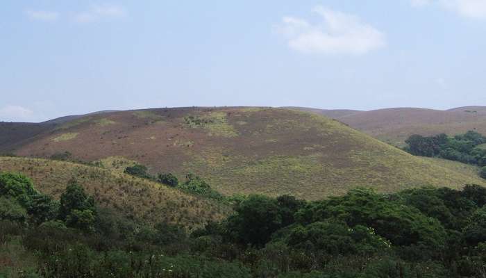 the picturesque view of Pakshipathalam Bird Sanctuary