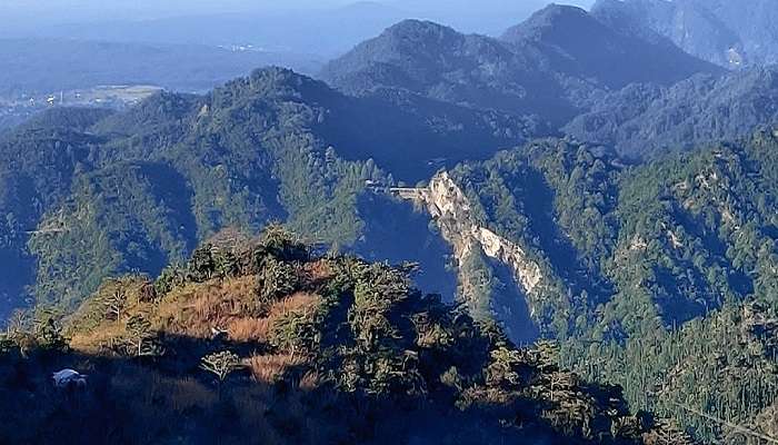 Camel Back Road Mussoorie