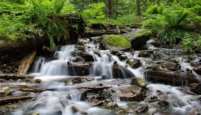 The stunning Omanawa Falls with lush greenery surrounding it