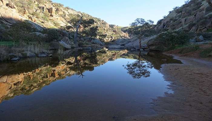 A scenic view of Mannum Waterfall in Southern Australia