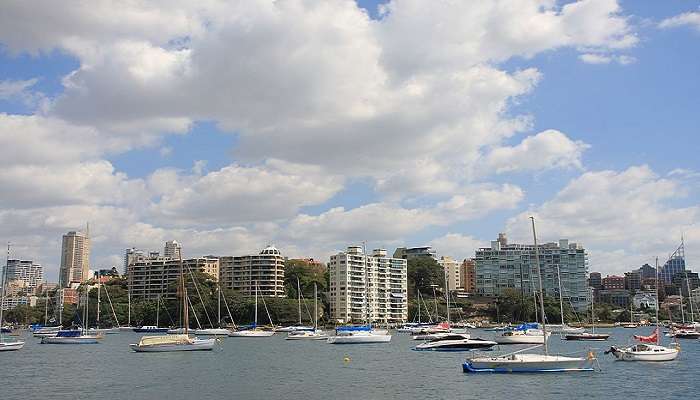 Elizabeth from Darling Point