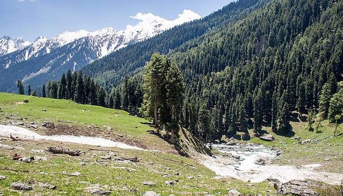 Lidderwat valley between Aru and Kolahoi Glacier Trek.