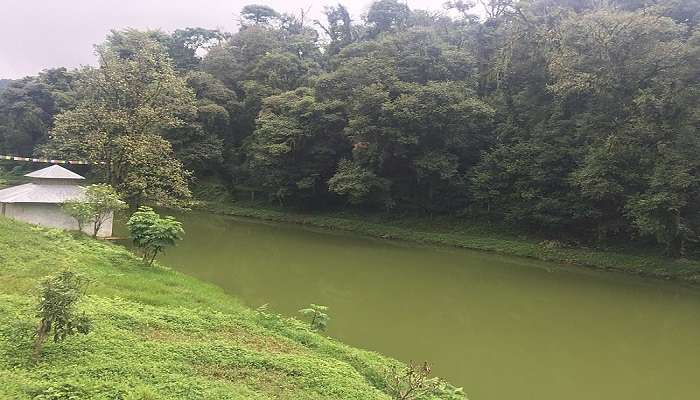 JorePokhri or twin ponds is a scenic place near Lamahatta. 