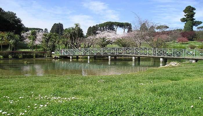 Beautiful view of the Villa Doria Pamphili