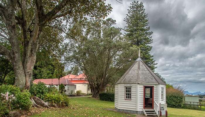 Exploring the Beautiful Kiwi House, Whangārei Museum, things to do in Whangārei