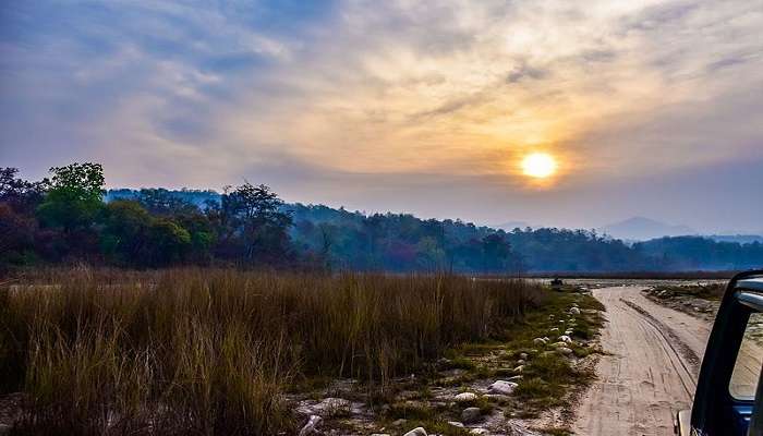 Rajaji National Park is oe of the greatest things to do in Rishikesh in one day