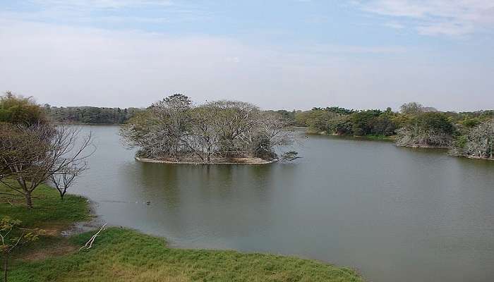 Karanji lake and karanji park in Mysore zoo