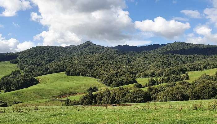 Morning view from the Sanctuary Mountain Maungatautari