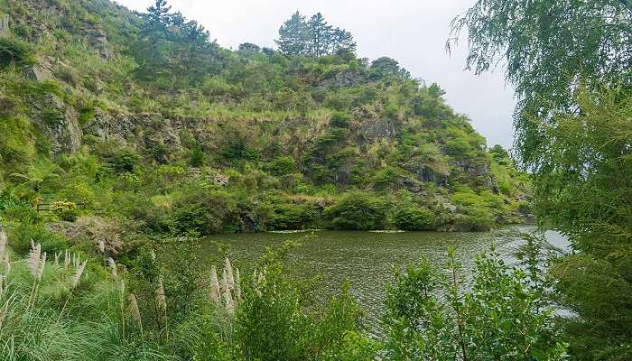 Lake at Whangārei Quarry Gardens.