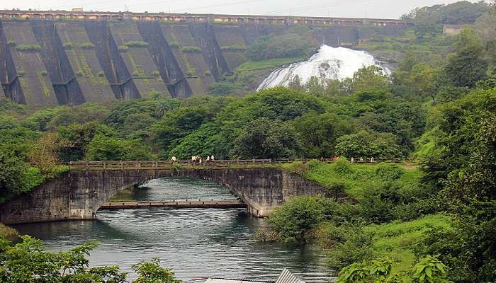 A scenic view of the Wilson dam, a tourist attraction near Randha falls that symbolizes Harmony between man & nature.