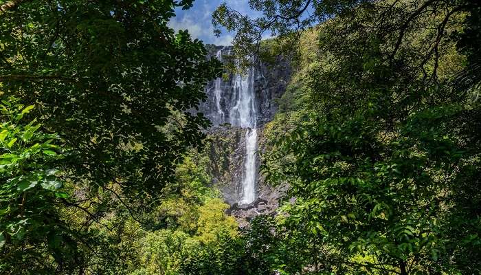  Witnessing the majestic waterfalls is one of Matamata's best things to do.