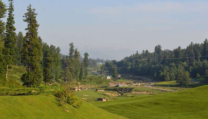 Snow-capped mountains and lush forests