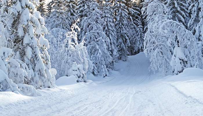 Yousmarg Kashmir in Winter.