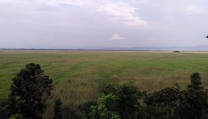 Vist the Keibul Lamjao National Park in Manipur