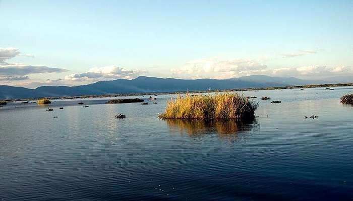 Visit the glistening Loktak Lake