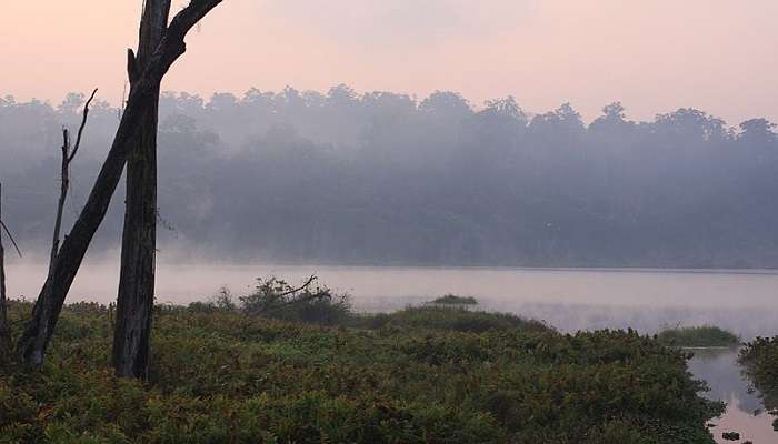 Explore the Palak Lake