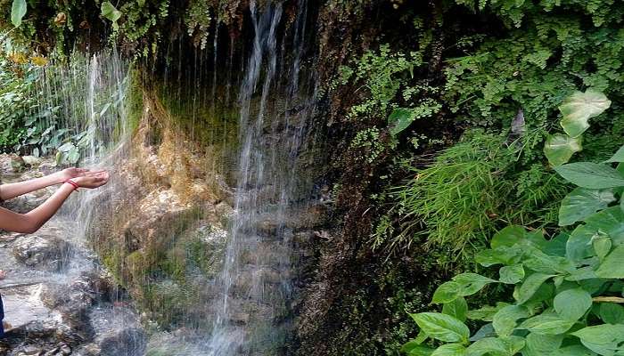 Natural beauty of Sahastradhara Waterfall in Dehradun.