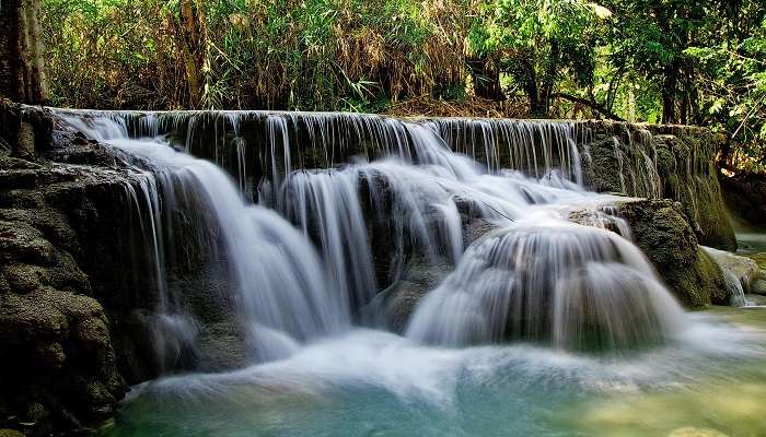 Lush greenery around waterfall