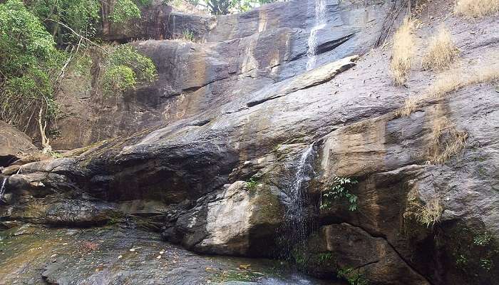 Areekkal Waterfalls is one of beautiful tourist places in Aluva