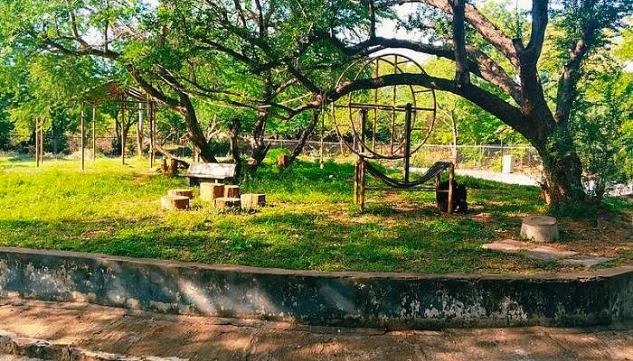 The lush green setting of Arignar Anna Zoological Park