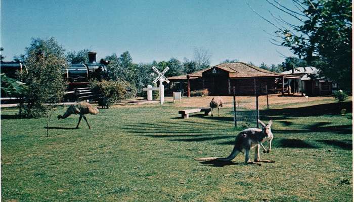 A view of the Pioneer Settlement Park, one of the best things to do in Swan Hill. 