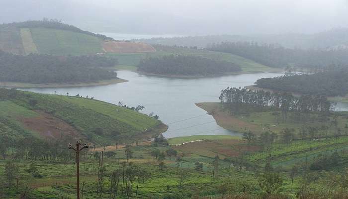 Distant view of Avalanche Lake in Ooty