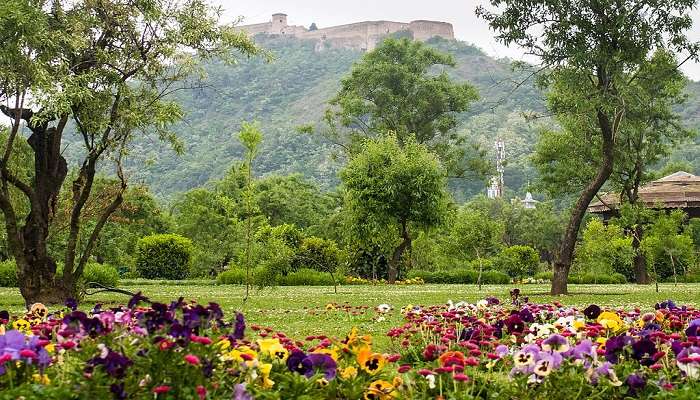 Hari Prabat view from Badamwari Garden Srinagar.