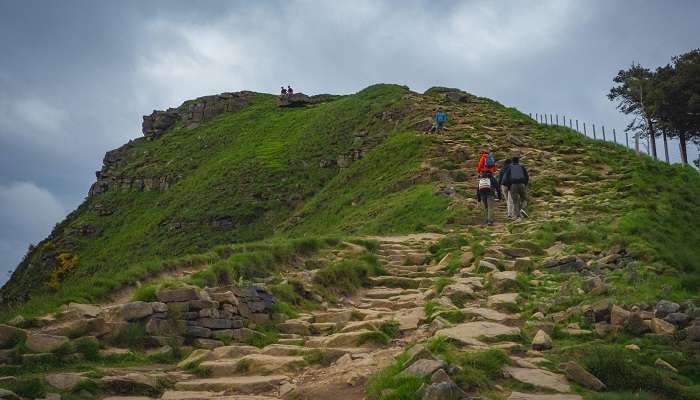 Witness the lush greenery on Baghbar Hills near Barpeta