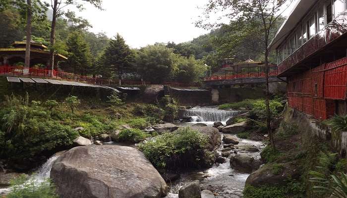  The alluring Banjhakri Falls near the saramsa garden.