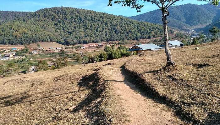 Lush green hills around Chitlang Village.