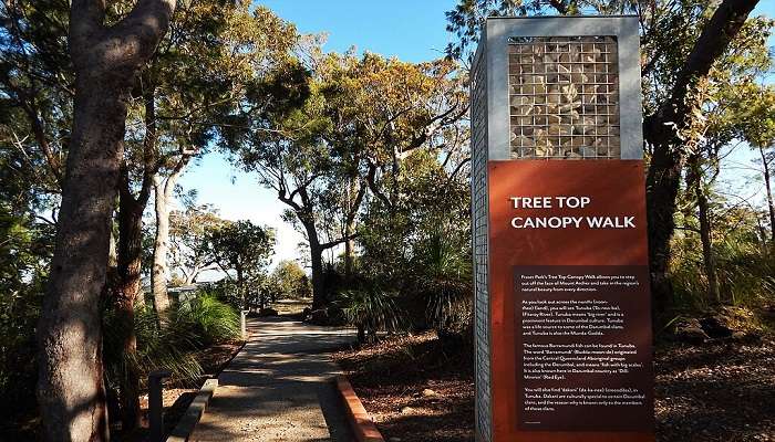 Entry to the tree top canopy boardwalk on Mount Archer, Rockhampton