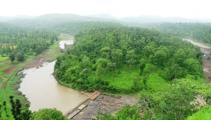 Lush green view from forest in Gujarat near the wilson hills. 