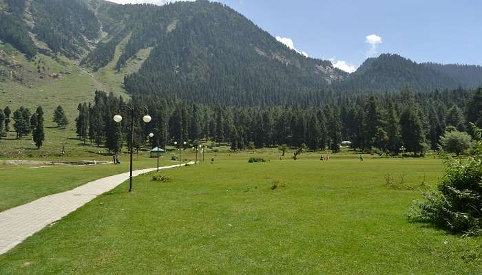 Lush greenery of the Betaab Valley, a famous picnic spot.