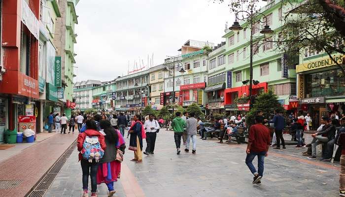 Black Cat Museum is must-visit destination in Gangtok