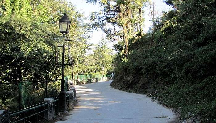 view of Camel’s Back Road, Uttarakhand near the Happy Valley in Mussoorie.