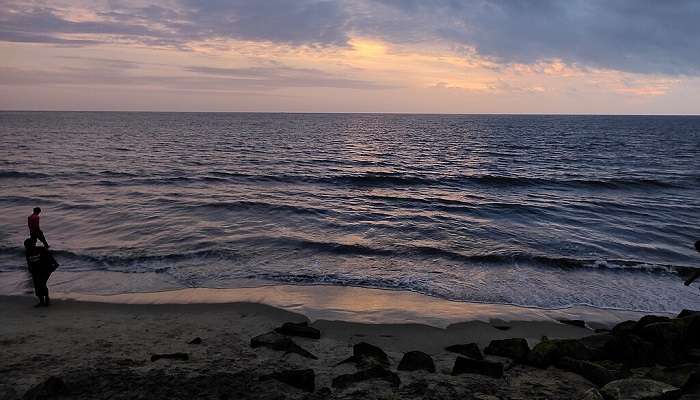 Visit the beautiful Cherai beach which serves as the perfect.